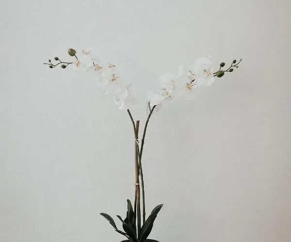 Astridôme * Châtel-Guyon